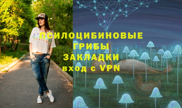 мдпв Армянск