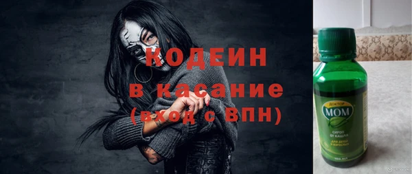 дмт Арсеньев