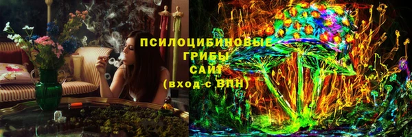 дмт Арсеньев