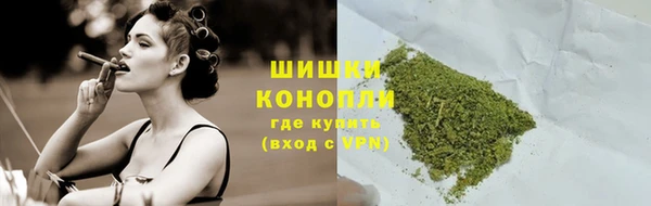 дмт Арсеньев