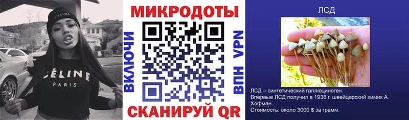 Галлюциногенные грибы Cubensis  продажа наркотиков  Зима 