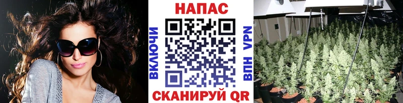 Канабис ГИДРОПОН хочу наркоту Зима